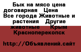 Бык на мясо цена договарная › Цена ­ 300 - Все города Животные и растения » Другие животные   . Крым,Красноперекопск